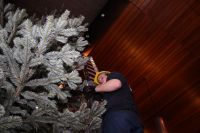 IMG_8177 (Large)
